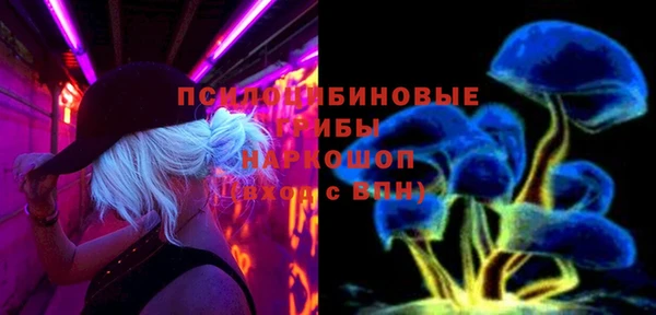 прущие грибы Балахна