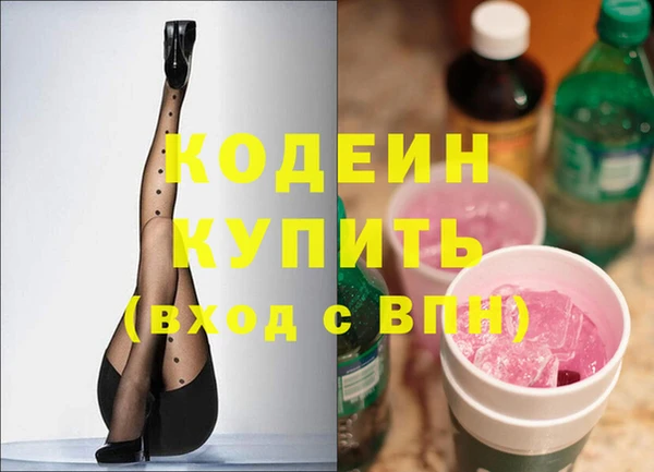 прущие грибы Балахна