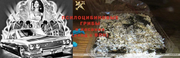 прущие грибы Балахна