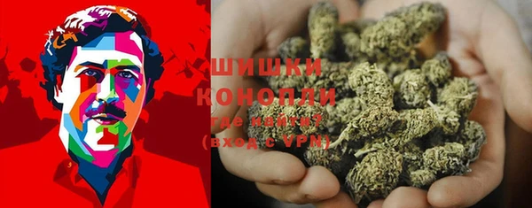 прущие грибы Балахна