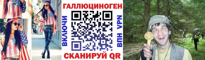Галлюциногенные грибы Psilocybe  Купить  Омутнинск 